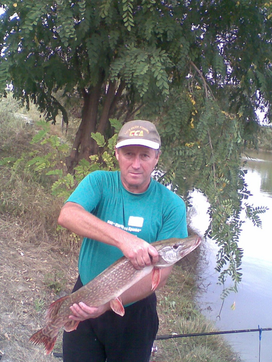 Щука весом 3 кг. Поймана на пруду СОК "Рыбацкая деревня Черные Камни", Бахчисарайский район, Крым.