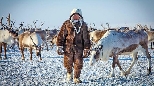 Призыв в армию на Крайнем Севере