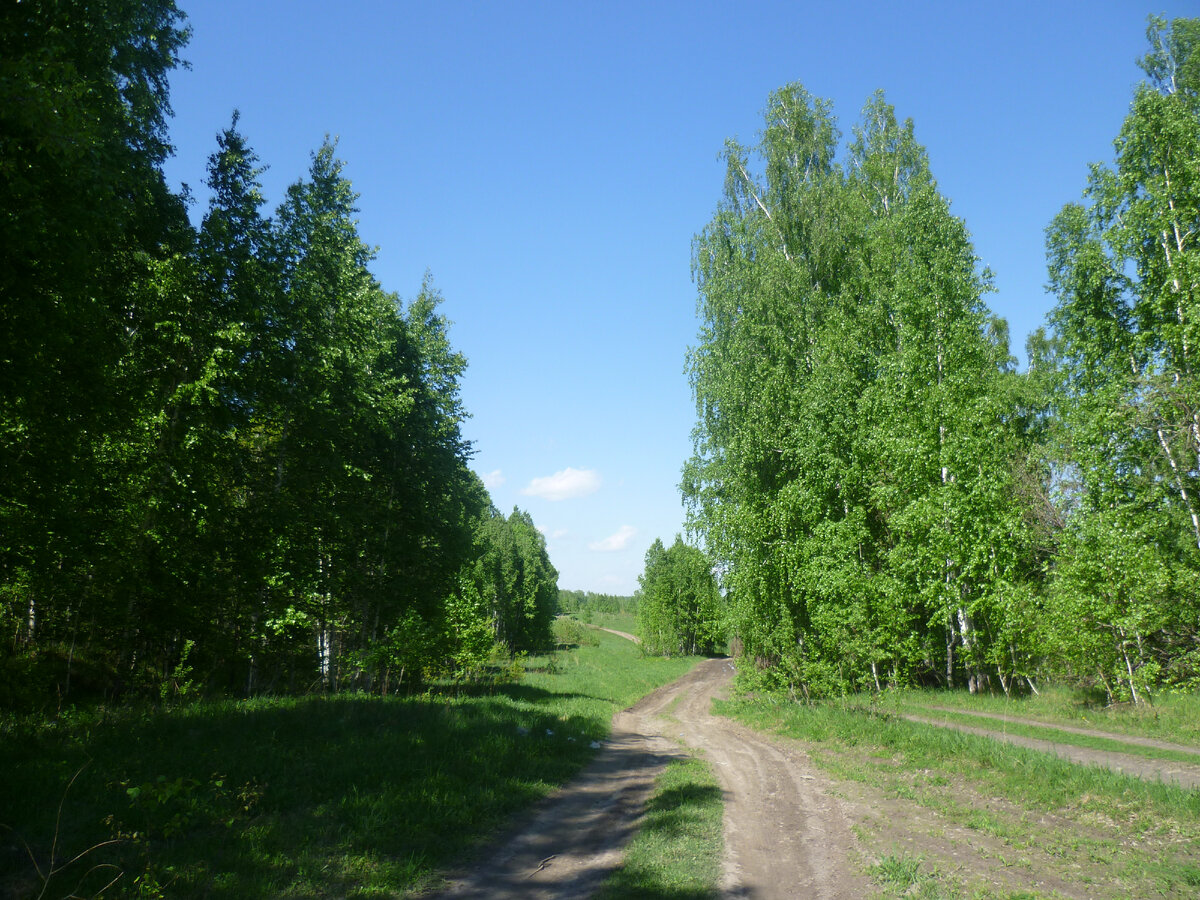 Окрестности Новосибирска