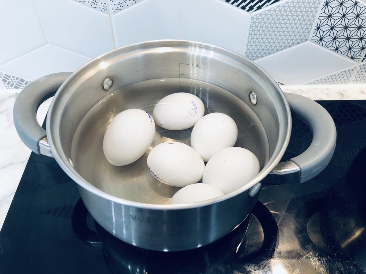 Яйцо