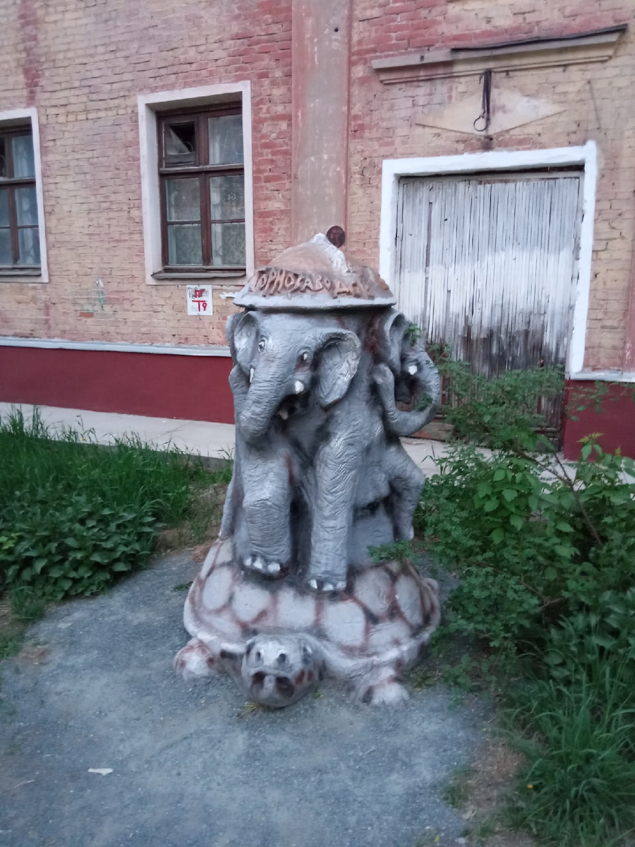 очень понимаю эту черепаху