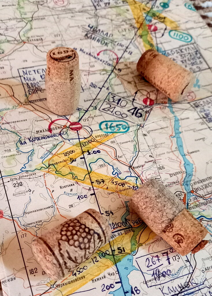 Винная есть. Пробка. Карта - тоже есть. Полётная. Вроде всё по теме. Сам придумал заставку для статьи. Моё фото.