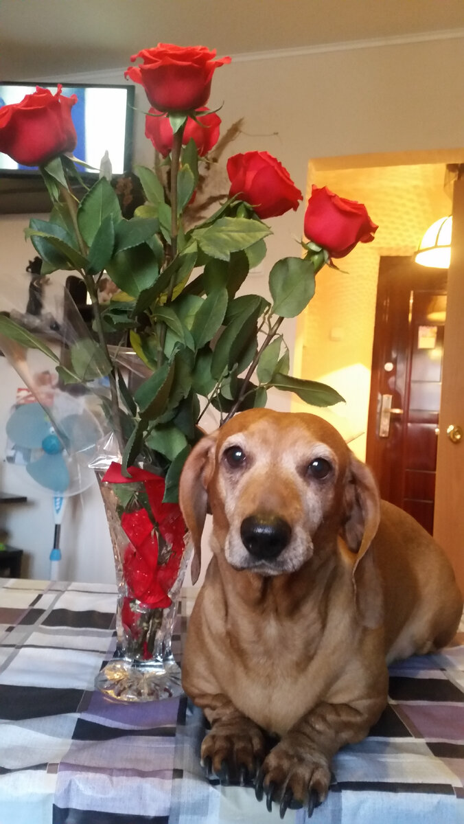 Как мне тебя не хватает .....