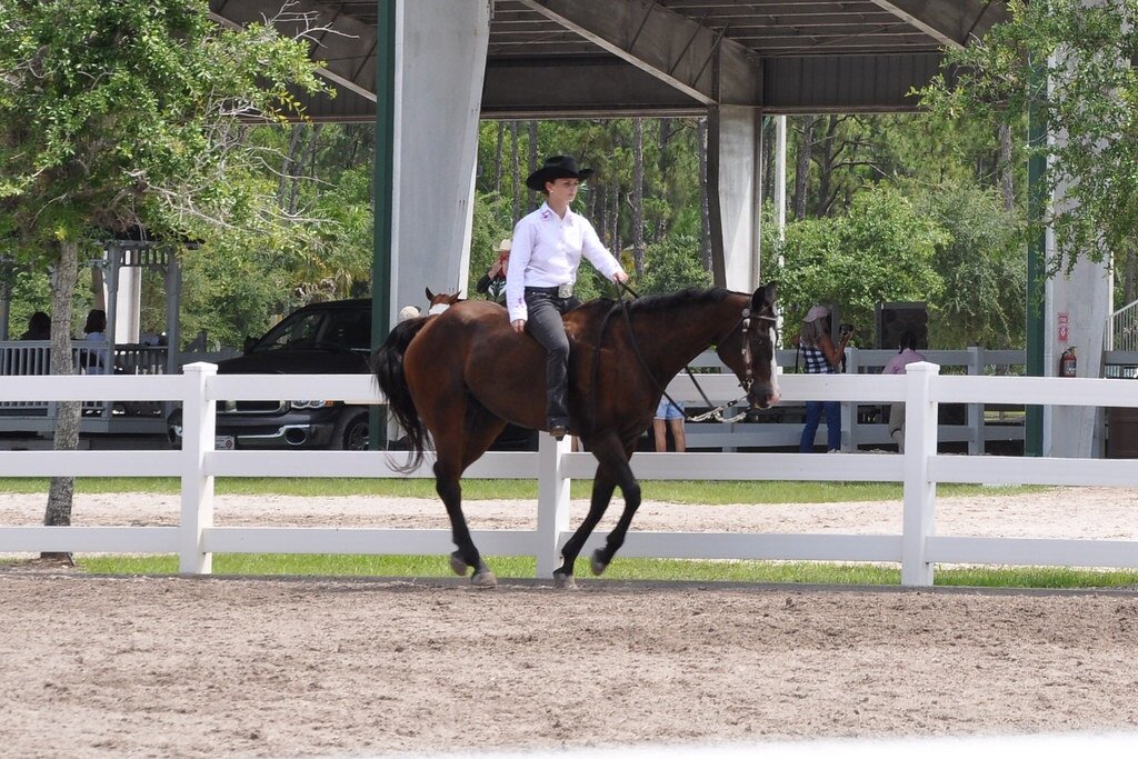 Класс езде без седла. Вестерн удовольствие (western pleasure). West Palm Beach, Наталья и ее лошадь Лейси.