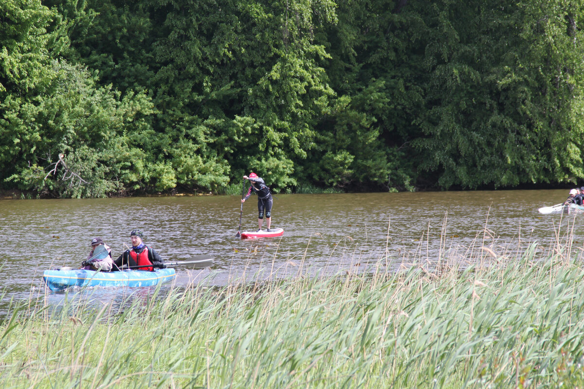 На дистанции. Фото - Игорь Степченков.