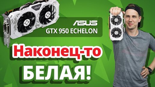 Asus gtx 950 on sale echelon