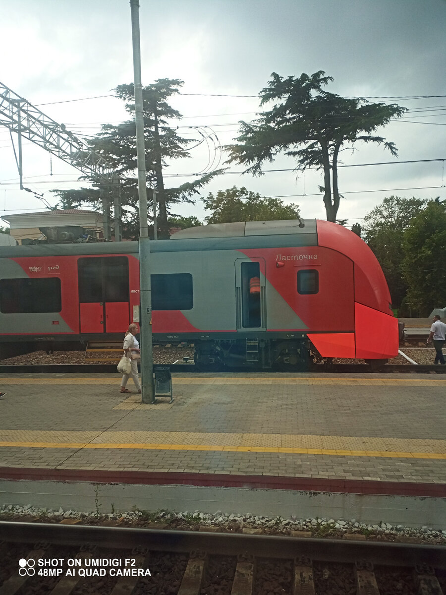 Фото автора. Вот такие ласточки летают в Сочи)