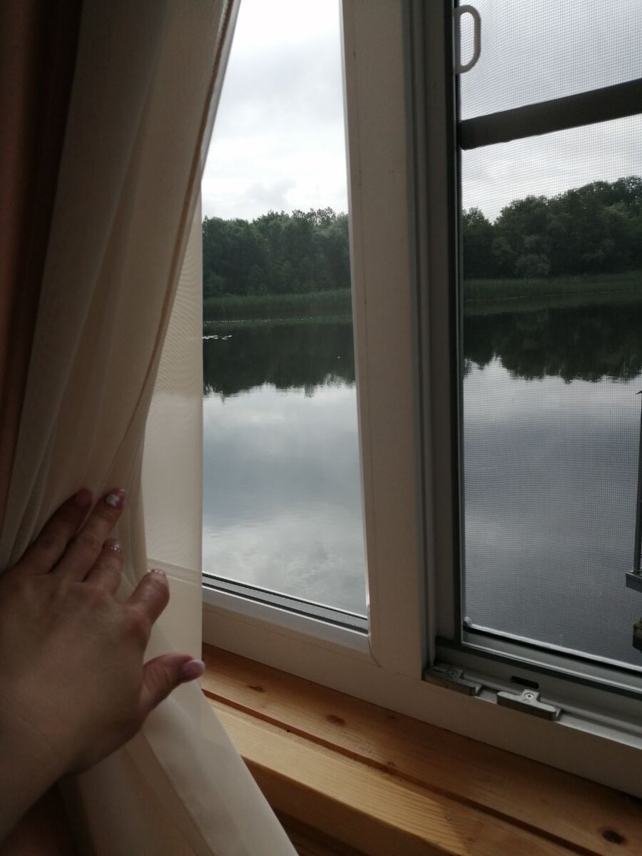 вид из окна