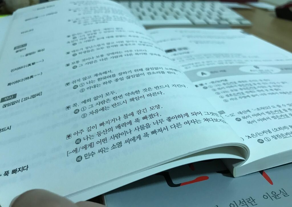 Учебник от университета Соганг. Источник: http://www.hangukdrama.com/review-sogang-5a-study-guide/