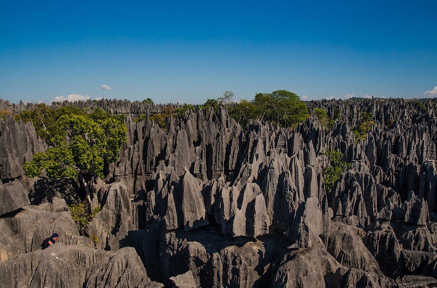 Белгород мадагаскар фото