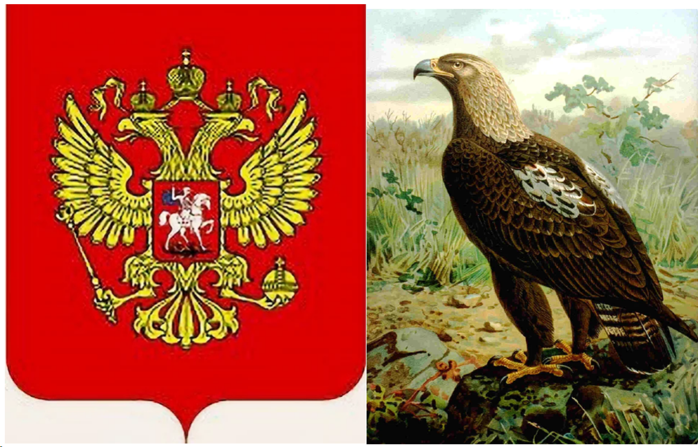 Как менялся герб России. Почему крылья орла были то подняты, то опущены? Этому н