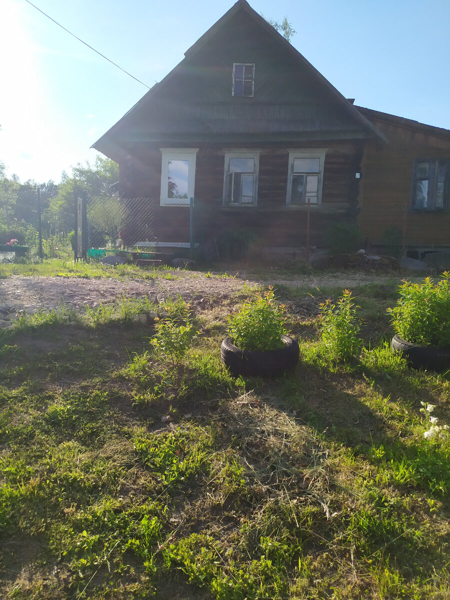 Наш домик. Фото из личного архива. 