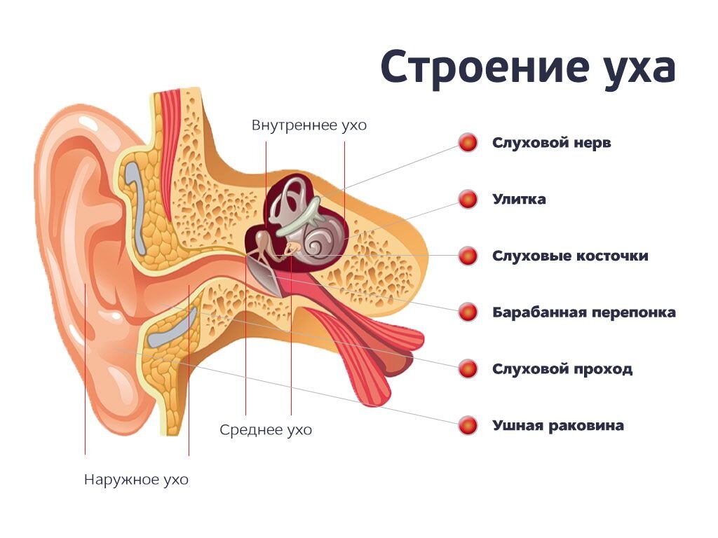 Что делать, если в ухо попала вода? | Медицина & Здоровье | Дзен