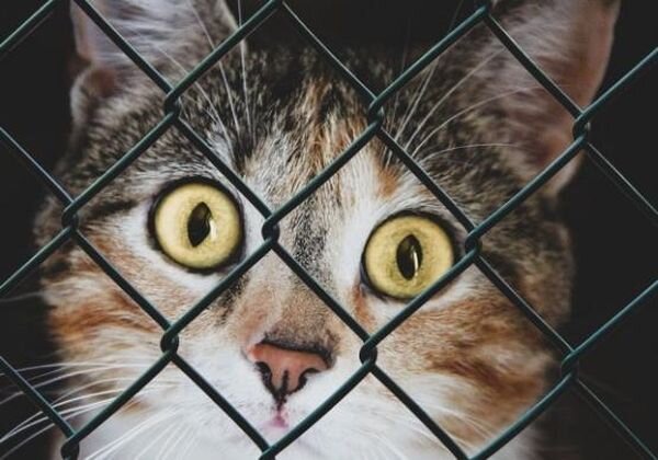 Источник фото: pixabay.com