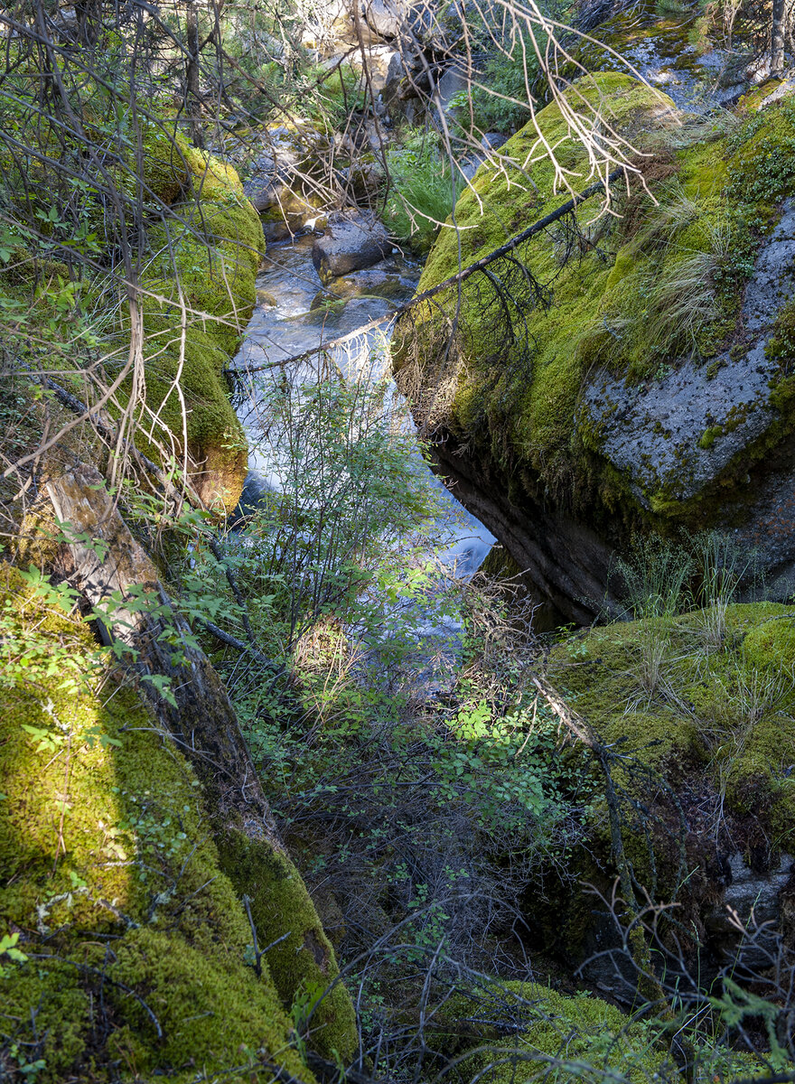 По дороге в водопаду "Величавый!"
