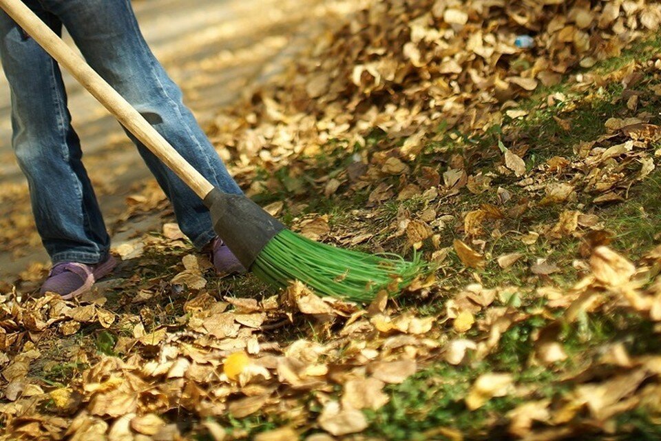     Романтическое осеннее настроение это, конечно, хорошо, но на даче опавшие листья лучше убрать.