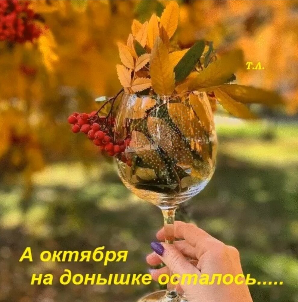 Картинка из открытого доступа