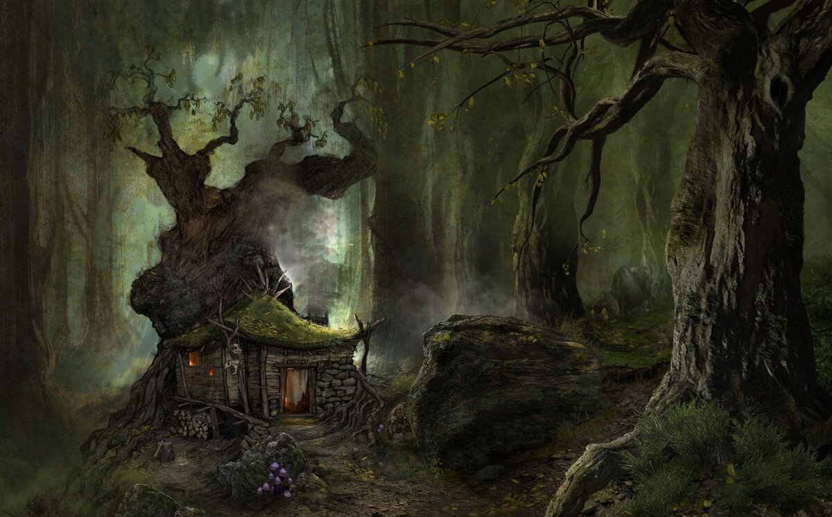 Волшебный темный лес