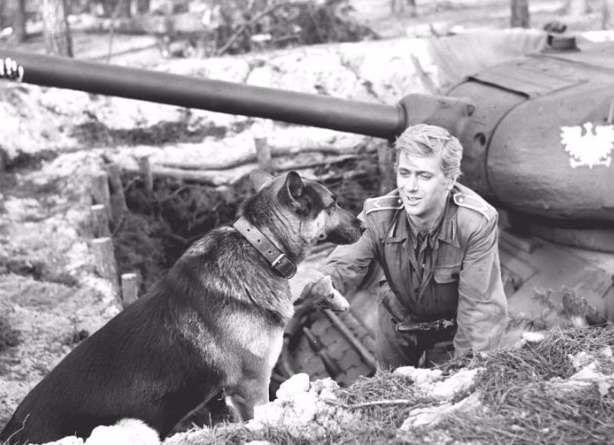 Интересные моменты со съемок сериала "4 танкиста и собака". Почему его перестали показывать в Польше