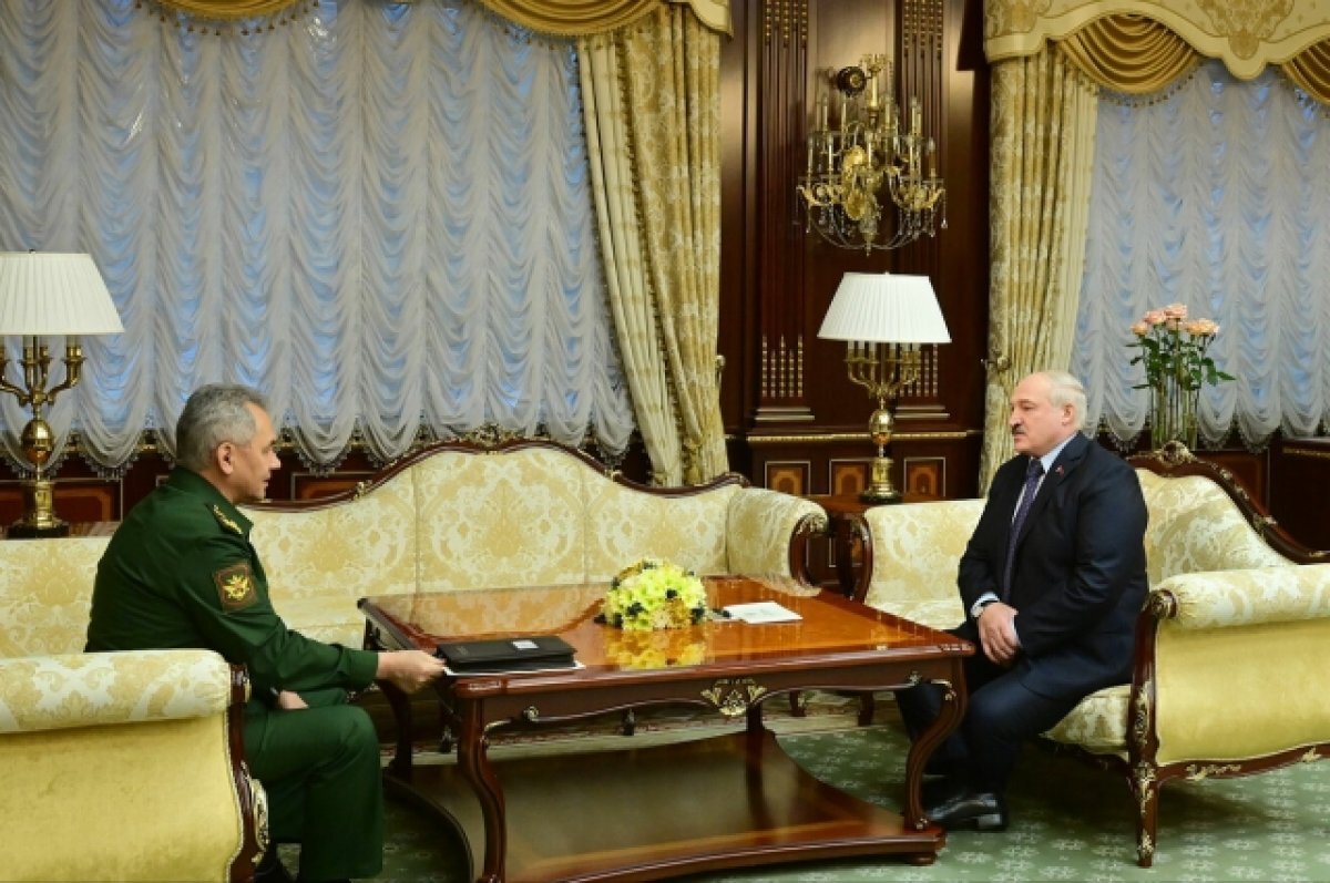    Шойгу поблагодарил Лукашенко за отношение к военным из РФ в Белоруссии