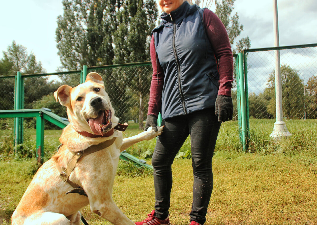 Гигант Амур на прогулке в парке