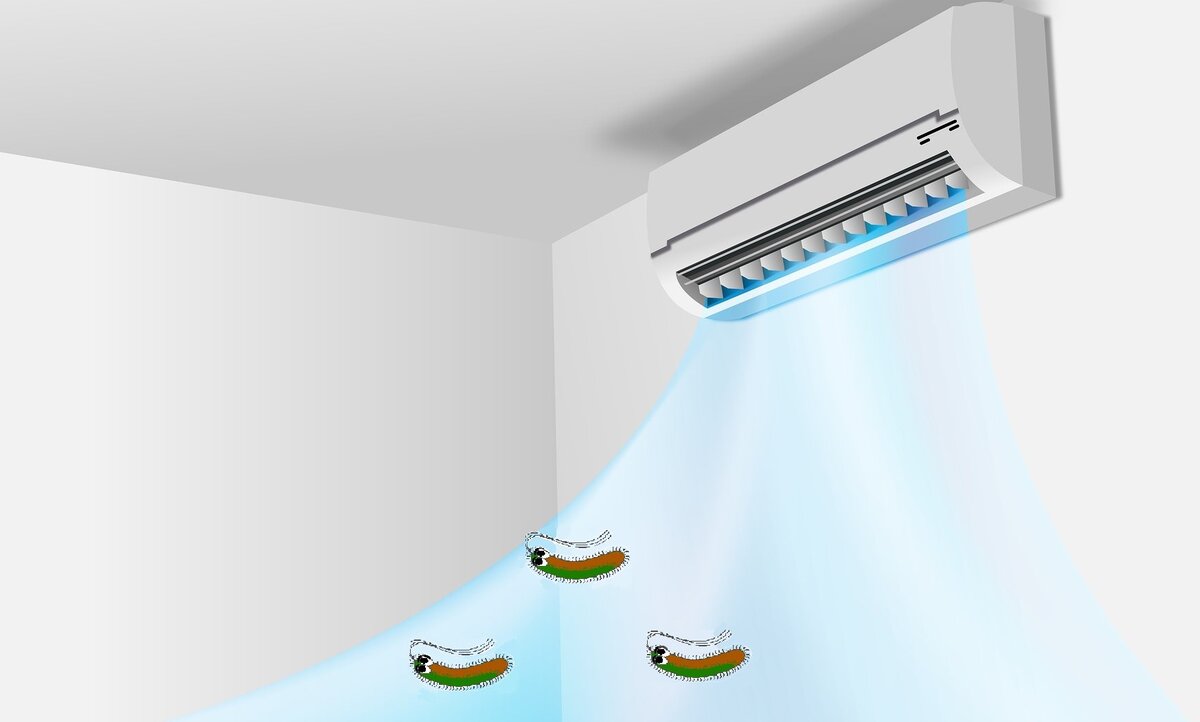 Источник: pixabay.com (микробики дополнены автором)