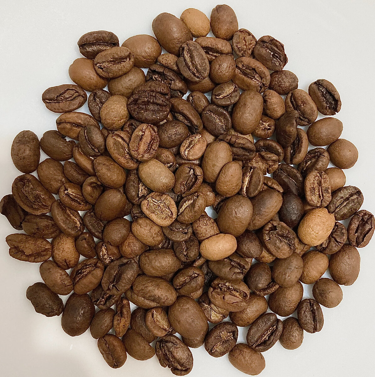 Местные разновидности, собранные фермерами близ станции Сакича, в зоне Гуджи, на высоте около 2100 метров над уровнем моря. Зерно аккуратное, небольшого размера, характерно скукоженное, внешних дефектов нет, обжарка деликатная. Кофе с этой станции, обработанный схожим способом, уже был ранее опробован у другого обжарщика (Tab), и, как показала практика, с одной станции даже в той же Эфиопии (где почти все лоты - это по сути, купажи) вкусовой профиль может сильно отличаться (что, впрочем, зависит не только от самого лота, но так же и от стиля обжарки).