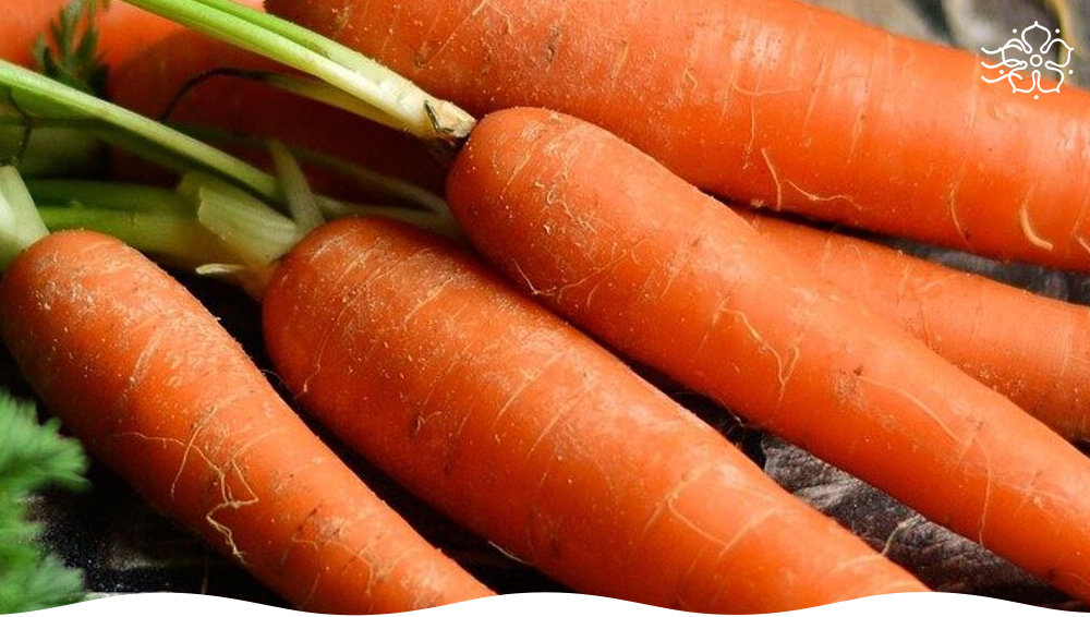 Морковь гибриды. Кот морковь. Гибрид моркови перпл Сан. Разделка Марковки на прямоугольники.
