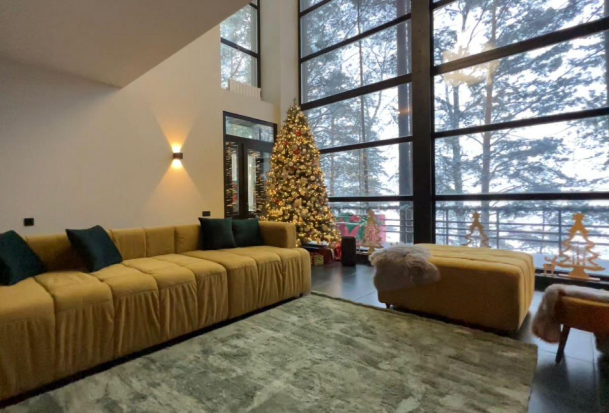    В Новосибирске сдают коттедж на Новый год за 240 тысяч рублей в сутки