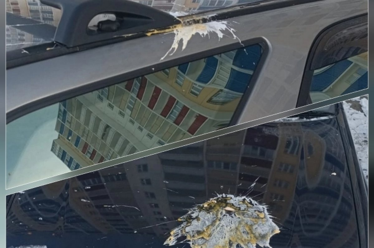    В Новосибирске автомобили закидали яйцами во дворе в Первомайском районе