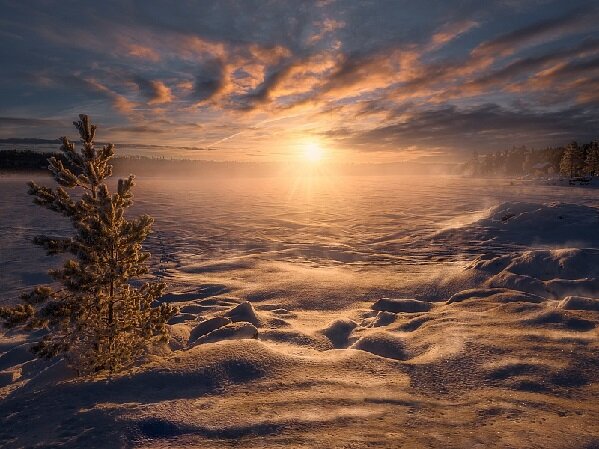 Фото север. Яркое солнце.