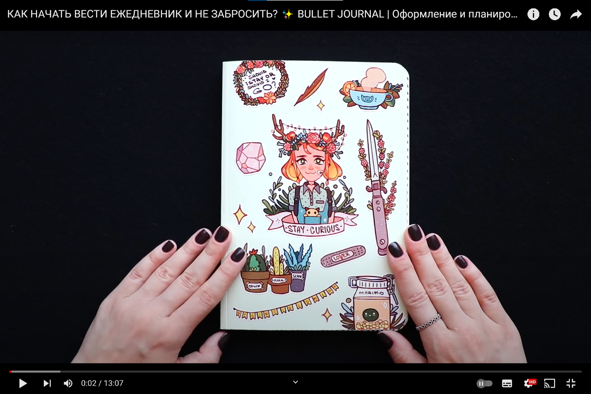 Скриншот видео КАК НАЧАТЬ ВЕСТИ ЕЖЕДНЕВНИК И НЕ ЗАБРОСИТЬ? с канала Maria Shek