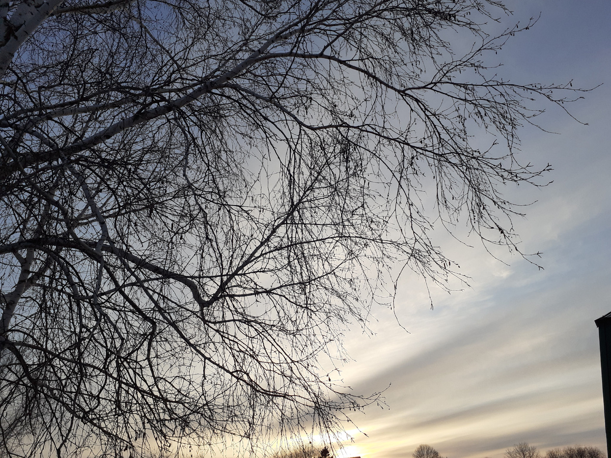 фото из личного архива