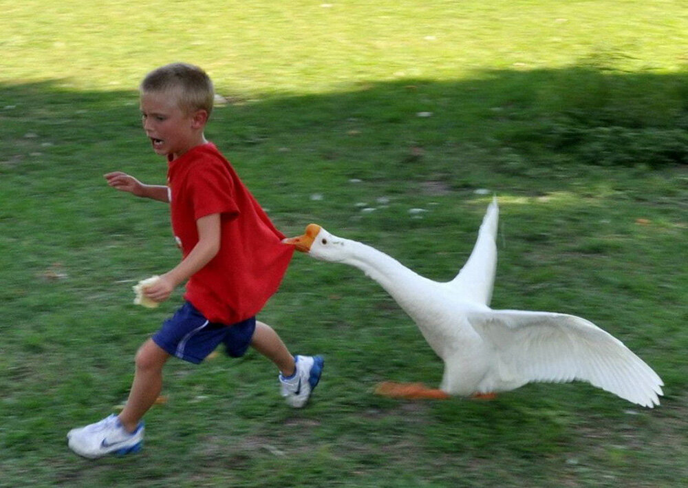 Фотографии взяты для иллюстрации рассказа из сети Интернет.