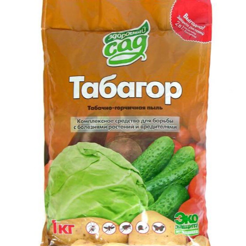 Фото из Интернета