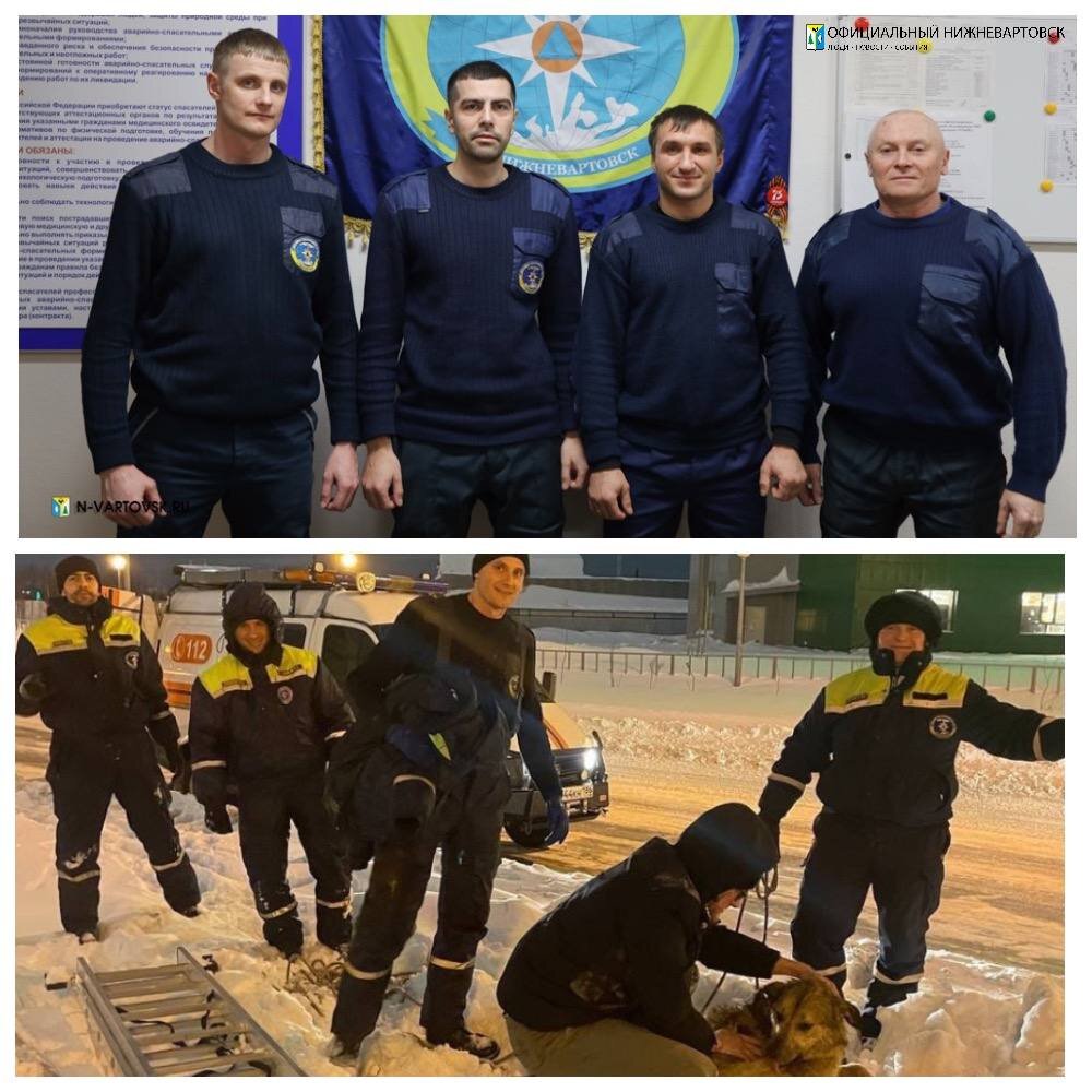    В Нижневартовске спасатели вытащили из колодца собаку