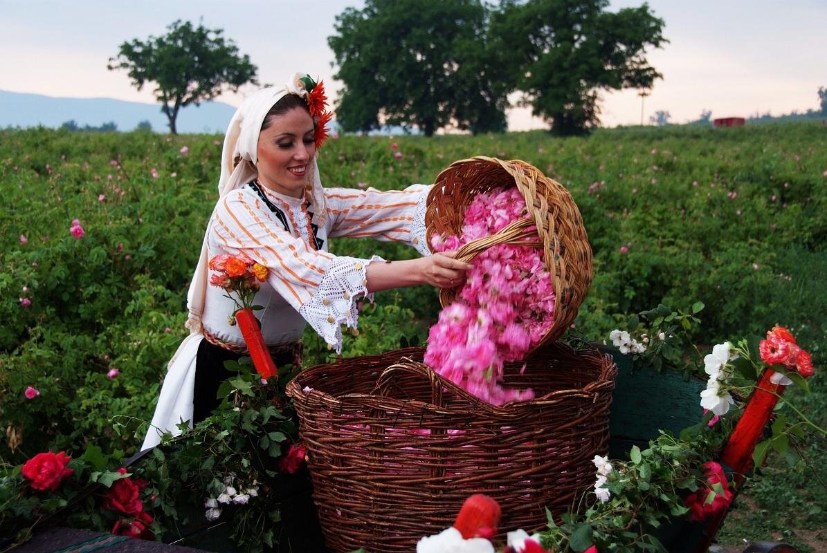 Долина роз Болгария фестиваль