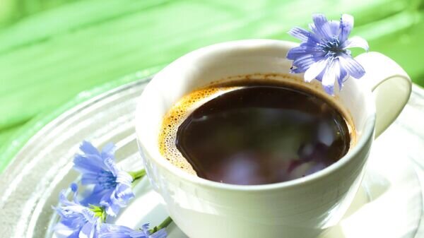    Цикорий. Иллюстративное фото© Pixabay / Artoxana