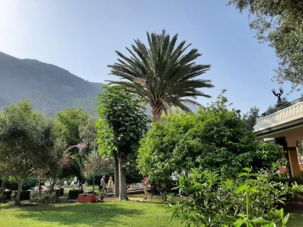 Отель в Турции на побережье Эгейского моря