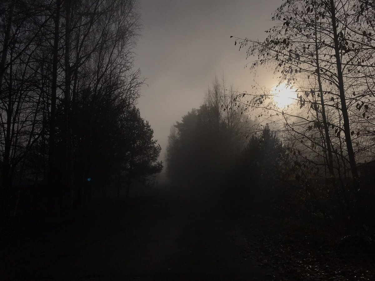 Совсем темно, дорога кажется опасной.