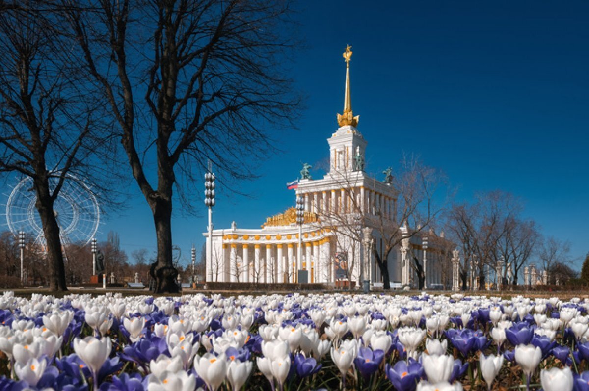    Гулять так гулять. Встречаем весну в Москве