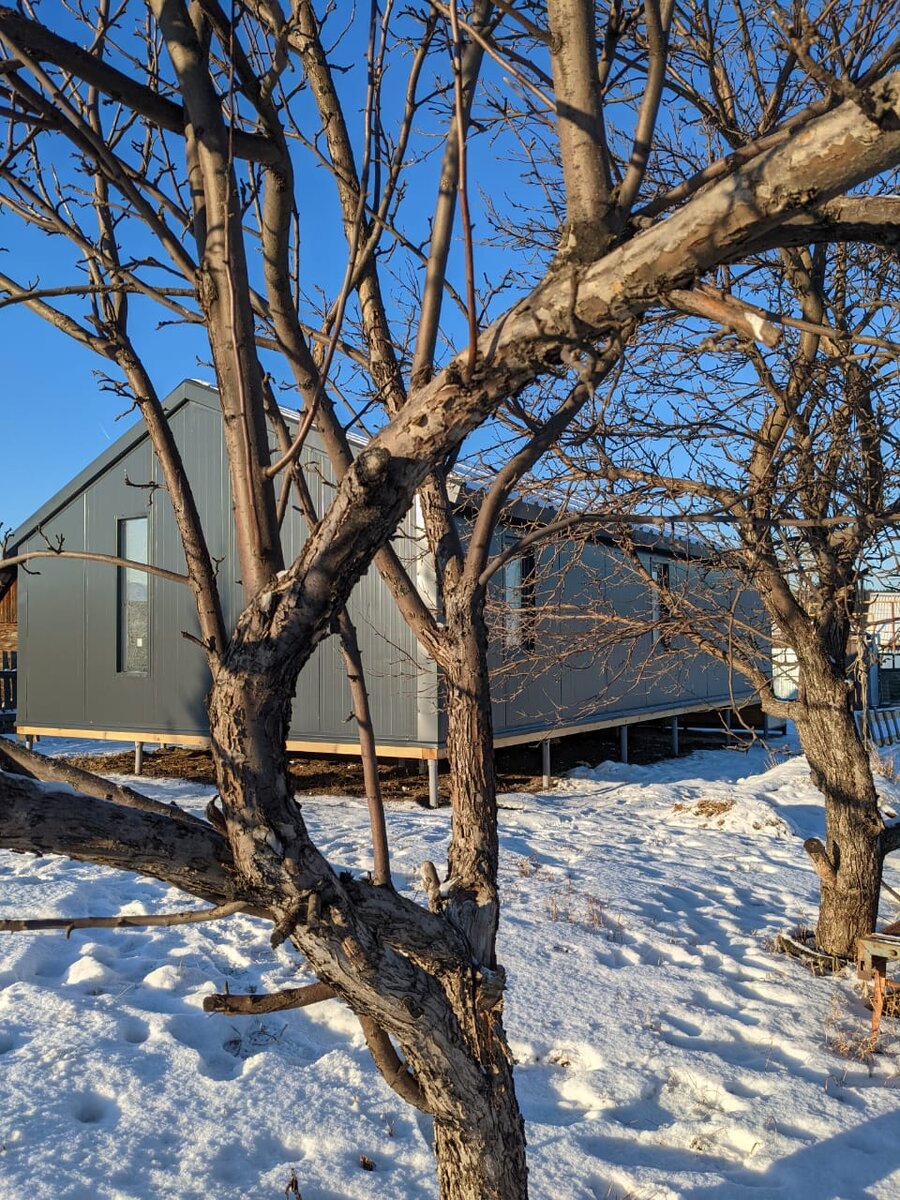 Наш дом год назад 