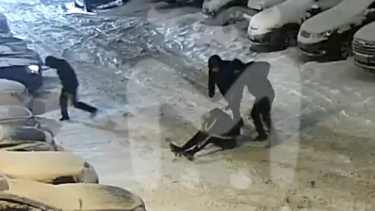 Фото: скриншот из видео камер наблюдения