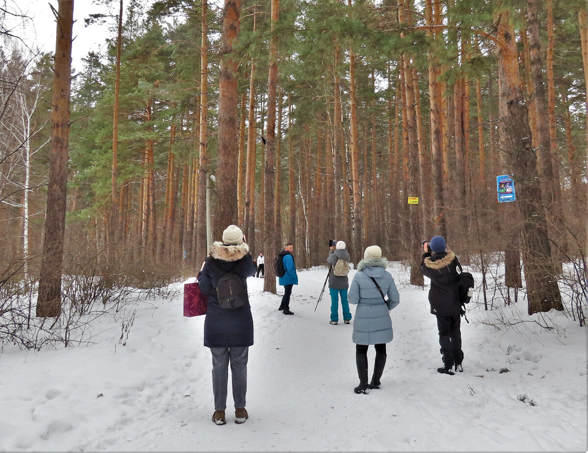Участники экскурсии любуются желной, фото автора