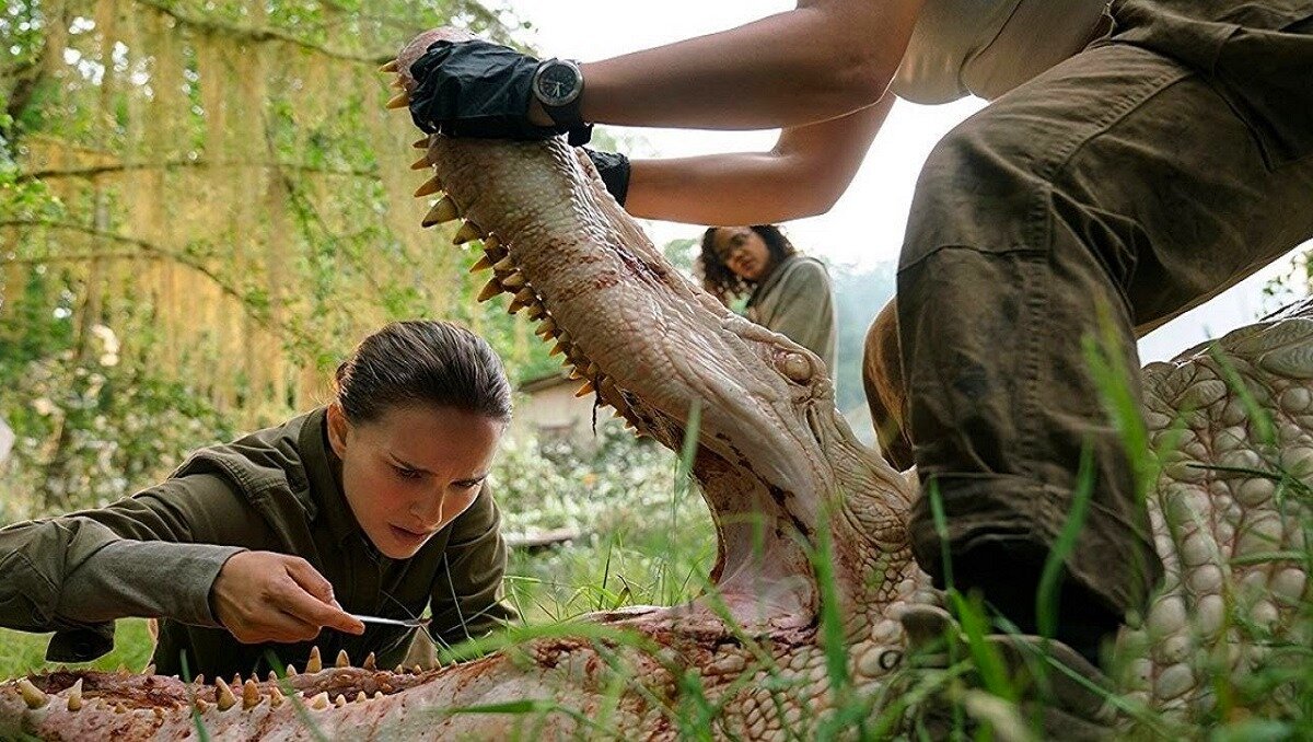 - Доигрался на гармошке у прохожих на виду! К стоматологу ходил бы ты хотя бы раз в году! 