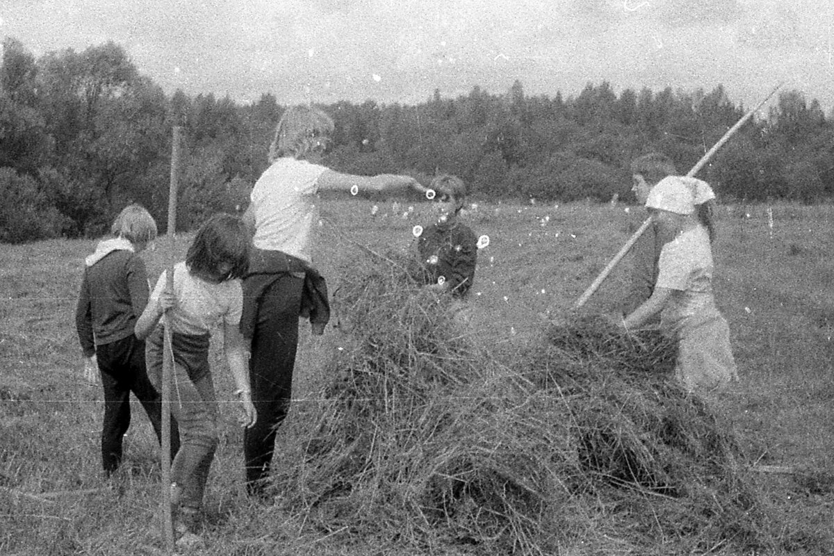 Фотограф Сергей Калабушкин на сенокосе