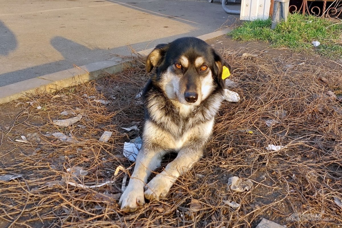    На Кубани 13 марта температура воздуха опустится до -7 градусов