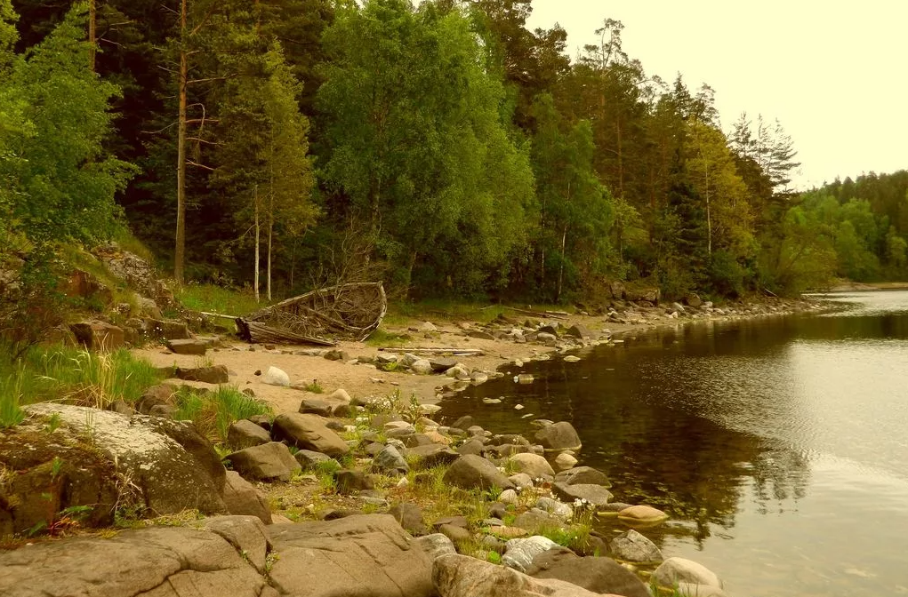 Яндекс картинки