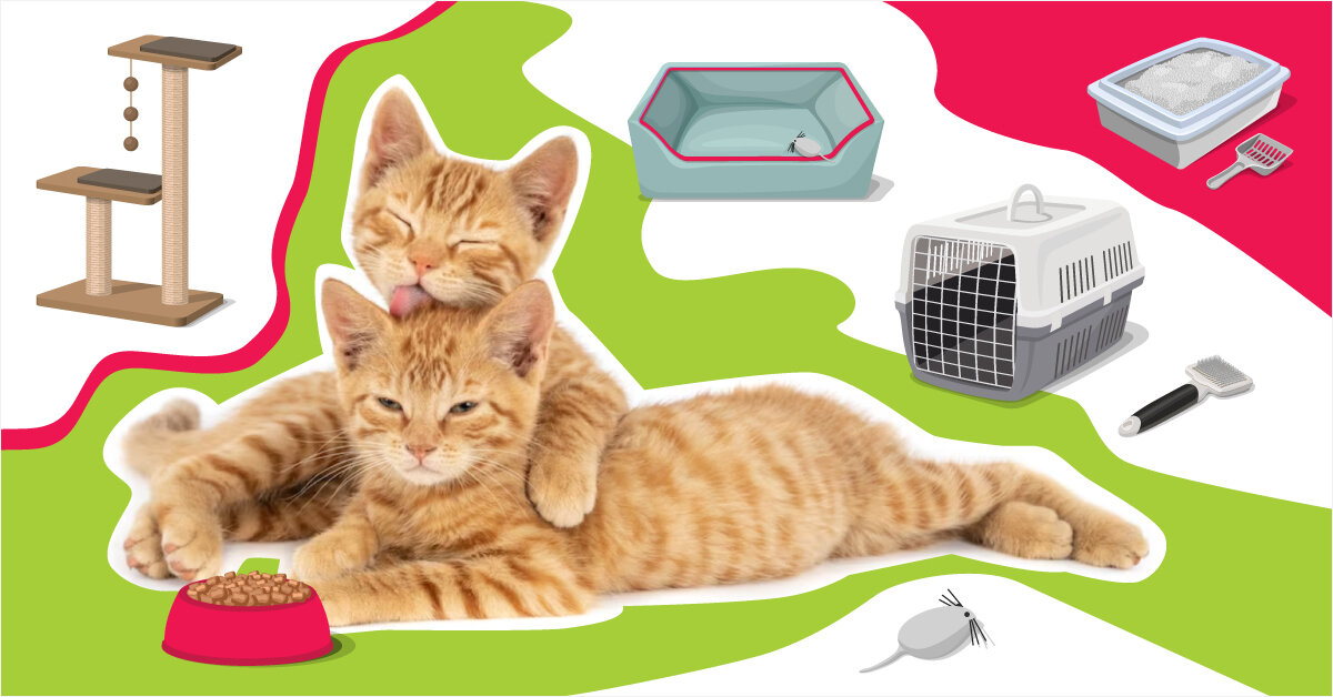 Если у вас есть кошка, то вы возвращаетесь не в дом, а домой