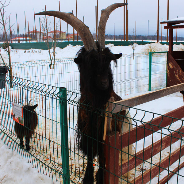 Автор фото Илья Зуев